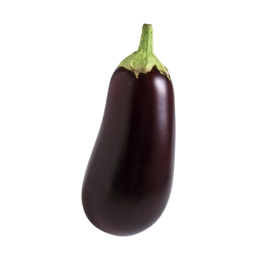 aubergine