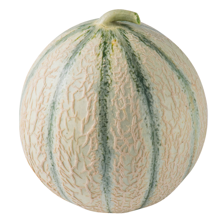 Melon_tonga