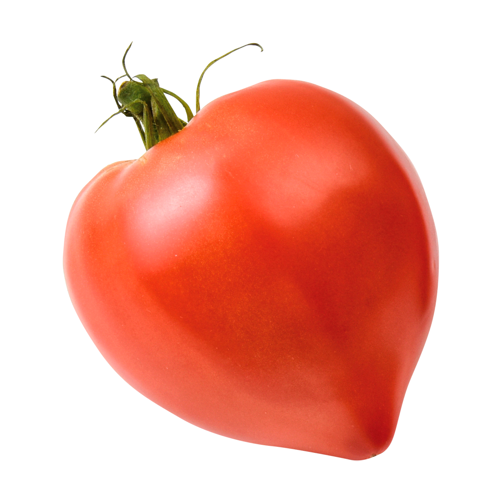 Tomate_corizia